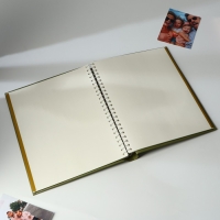 Фотоальбом &laquo;Мы - семья&raquo;, 20 магнитных листов