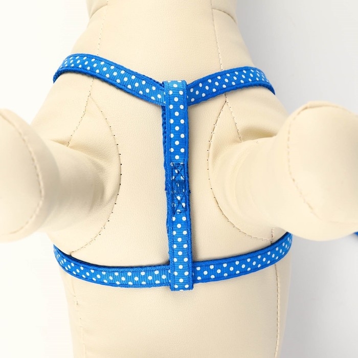 Комплект прошитый Комплект прошитый "Горошек", ширина 1 см, поводок 120 см, шлейка 23-35 см, синий