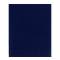 Тетрадь 48 листов в линейку "Синяя", обложка бумвинил, блок офсет