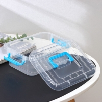 Контейнер для хранения, крышка с ручкой на защёлке, 20&times;15&times;7,5 см, цвет МИКС