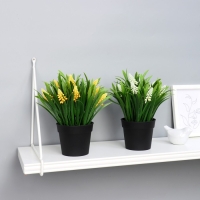 Бонсай в горшке "Альпиния" 9х20 см, микс Бонсай в горшке "Альпиния" 9х20 см, микс