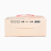 Переноска для цветов складная Present, 17 × 13 × 7 см Переноска для цветов складная Present, 17 × 13 × 7 см