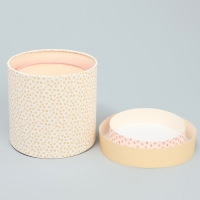 Набор шляпных коробок 2 в 1, упаковка подарочная, &laquo;Точки&raquo;, 13 х 13 см, 16 х 16 см