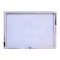 Картина на холсте "Цветы магнолии" 50*70 см