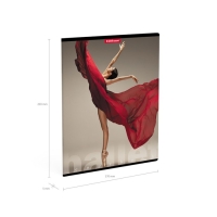 Тетрадь 48 листов в клетку, ErichKrause "Балет", обложка мелованный картон, матовая ламинация, блок офсет 100% белизна, МИКС (1 вид в спайке) Тетрадь 48 листов в клетку, ErichKrause "Балет", обложка мелованный картон, матовая ламинация, блок офсет 100% белизна, МИКС (1 вид в спайке)