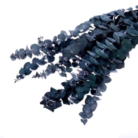 Сухоцвет &laquo;Эвкалиптовое дерево&raquo;, голубой, 10 шт. в упаковке