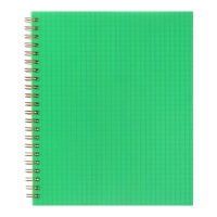Тетрадь на гребне A5 96 листов в клетку Calligrata Зелёная, пластиковая обложка, блок офсет
