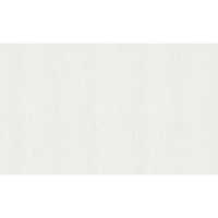 Обои виниловые горячего тиснения на флизелине Долли 70541-11