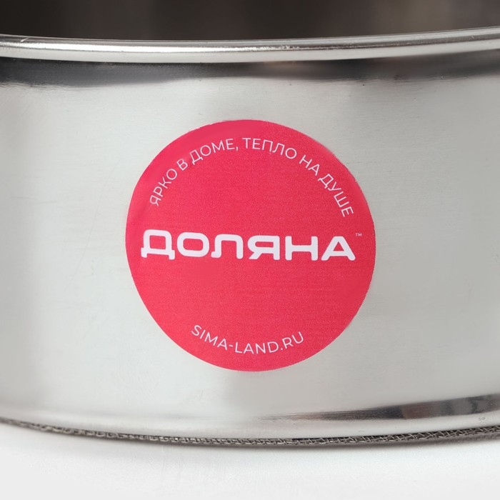 Сито для просеивания Доляна &laquo;Металлик&raquo;, d=24 см, цвет серебристый