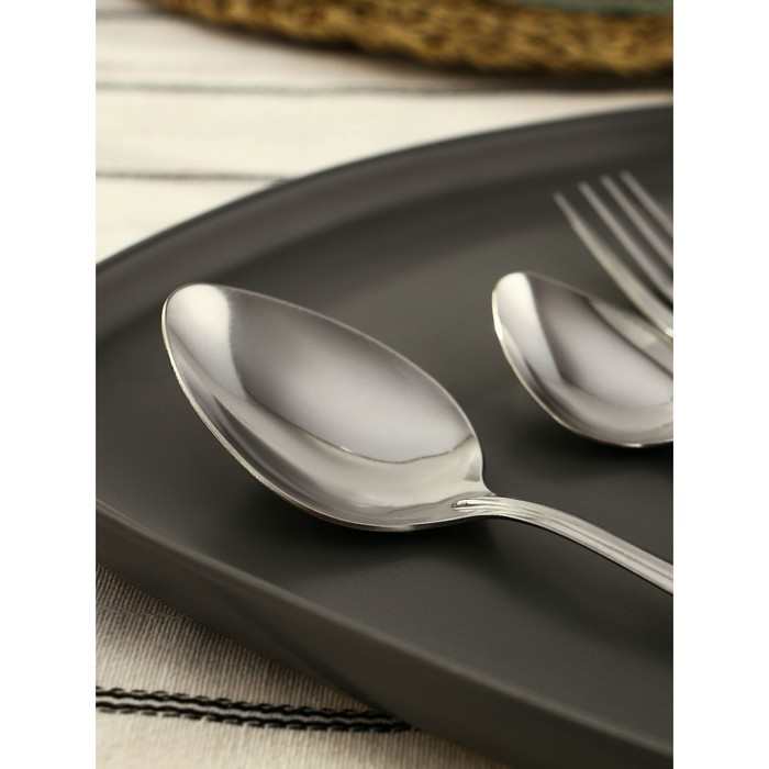 Набор столовых приборов «Волна», 24 предмета, картонная коробка с окном, цвет серебряный Набор столовых приборов «Волна», 24 предмета, картонная коробка с окном, цвет серебряный