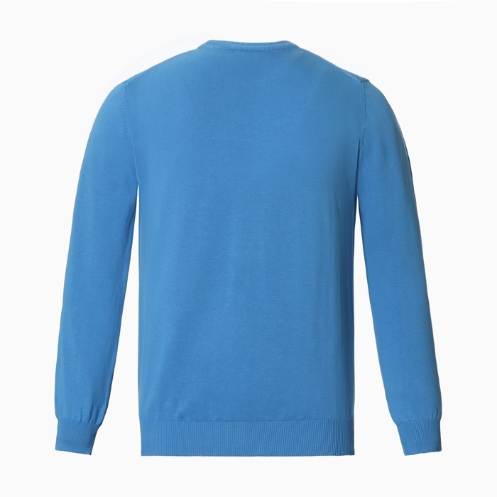 Джемпер мужской, цвет голубой, размер 46 (M) Джемпер мужской, цвет голубой, размер 46 (M)