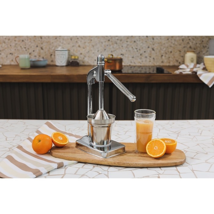 Соковыжималка механическая Доляна Fruits, 20&times;14,5&times;37 см