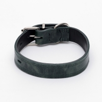 Ошейник кожанный двухслойный 3 см, ОШ 35-47 см, изумрудный Ошейник кожанный двухслойный 3 см, ОШ 35-47 см, изумрудный