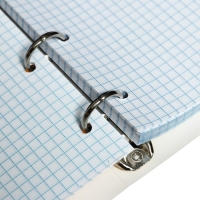 Тетрадь на кольцах A5 120 листов в клетку Calligrata "АнимеArt", пластиковая обложка, блок офсет Тетрадь на кольцах A5 120 листов в клетку Calligrata "АнимеArt", пластиковая обложка, блок офсет