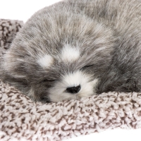 Игрушка на панель авто, собака на подушке, серый окрас Игрушка на панель авто, собака на подушке, серый окрас