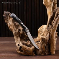 Нож складной "Лань" Нож складной "Лань"