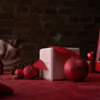 Набор для выращивания &laquo;Экокуб&raquo;, ель голубая