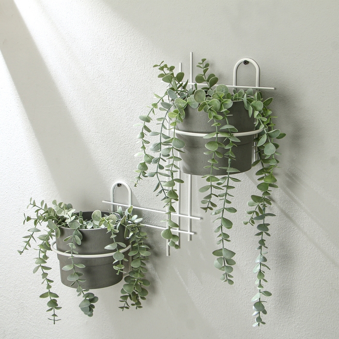 Подвес для кашпо, настенный, d = 16 см, белый, «Прямая-2» Подвес для кашпо, настенный, d = 16 см, белый, «Прямая-2»