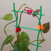 Клипса для растений, набор 10 шт., МИКС Клипса для растений, набор 10 шт., МИКС