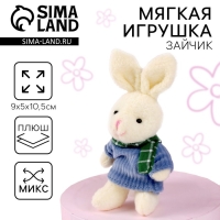 Мягкая игрушка «Самой чудесной», 10,5 см., заяц, цвета МИКС Мягкая игрушка «Самой чудесной», 10,5 см., заяц, цвета МИКС