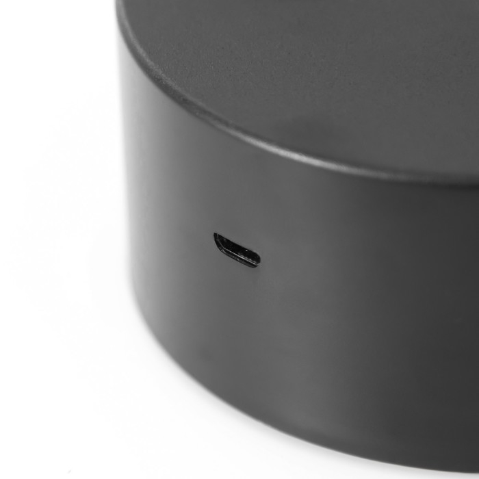 Светильник сенсорный "Мишутка" LED 7 цветов USB/от батареек черный RISALUX