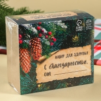 Набор &laquo;Будьте здоровы&raquo;: чай 20 г., варенье из сосновых шишек 30 г., бальзам 100 мл.