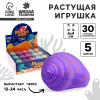 Растущие игрушки «Магия моря», МИКС Растущие игрушки «Магия моря», МИКС