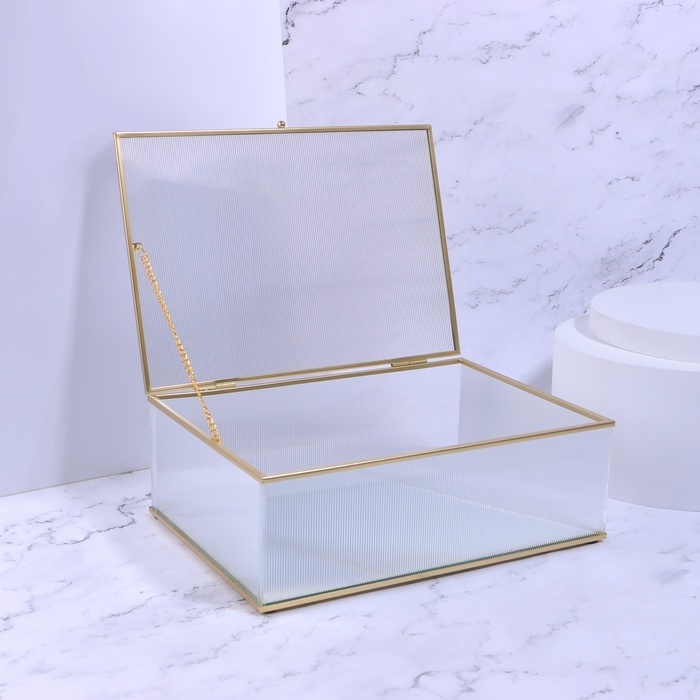 Органайзер для хранения «RIPPLES», с крышкой, стеклянный, с зеркальным дном, 1 секция, 25 × 17,5 × 8,5 см, цвет прозрачный/медный Органайзер для хранения «RIPPLES», с крышкой, стеклянный, с зеркальным дном, 1 секция, 25 × 17,5 × 8,5 см, цвет прозрачный/медный