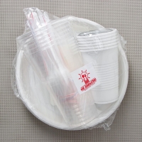 Набор пластиковой одноразовой посуды на 6 персон Не ЗАБЫЛИ! &laquo;Биг-Пак №2&raquo;, цвет белый