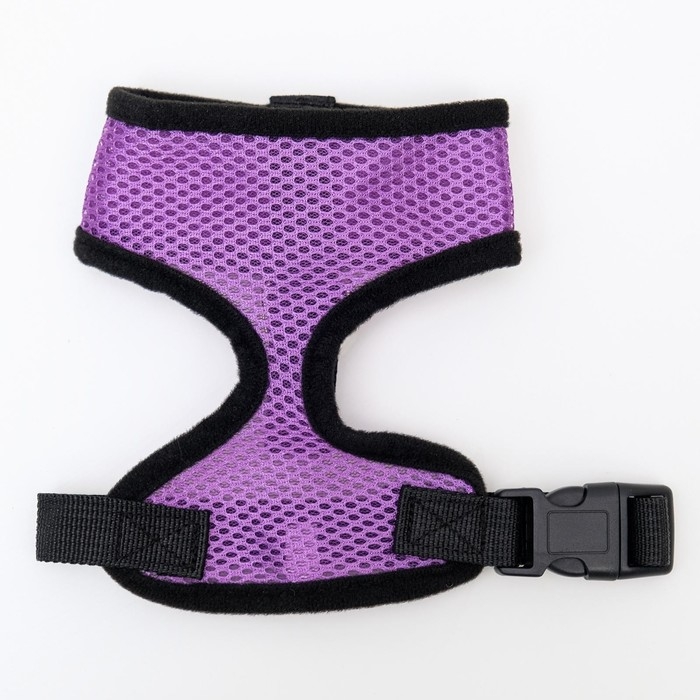 Шлейка мягкая из неопрена, размер XL, ОШ 42 см, ОГ 38-50 см, фиолетовая Шлейка мягкая из неопрена, размер XL, ОШ 42 см, ОГ 38-50 см, фиолетовая