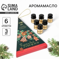 Аромамасла новогодние «Новый год: Пусть все сбудется», набор 6 шт, 3 мл Аромамасла новогодние «Новый год: Пусть все сбудется», набор 6 шт, 3 мл