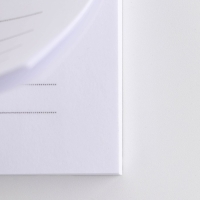 Подарочный набор &laquo;8 марта орхидея в ромбе &raquo;: ежедневник А5 80 листов и экоручка