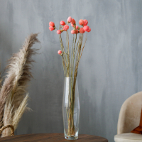 Сухоцвет &laquo;Гомфрена шаровидная&raquo; набор &mdash; от 17 до 20 шт., цвет розовый