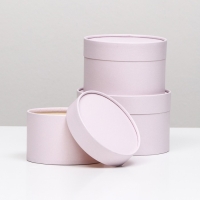 Набор шляпных коробок 3 в 1,"Пастельный",16 х 10,14 х 9,13 х 8,5 см Набор шляпных коробок 3 в 1,"Пастельный",16 х 10,14 х 9,13 х 8,5 см