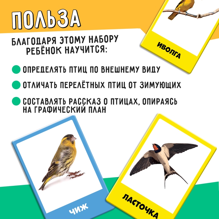 Развивающий набор «Перелётные и зимующие птицы» Развивающий набор «Перелётные и зимующие птицы»