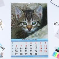 Календарь перекидной на ригеле А3 "Котята" 2025, 32 х 48 см Календарь перекидной на ригеле А3 "Котята" 2025, 32 х 48 см