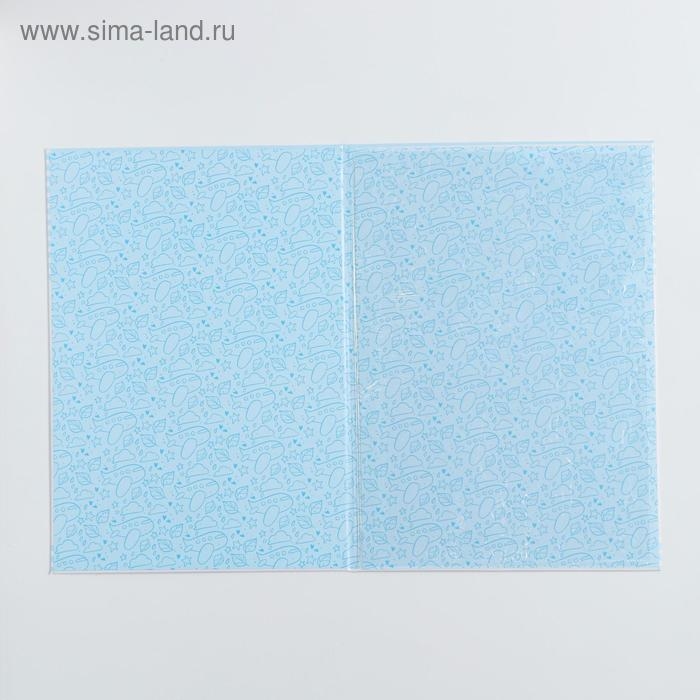 Папка для свидетельства о рождении для мальчика «Кошечка», А4 Папка для свидетельства о рождении для мальчика «Кошечка», А4