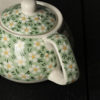 Чайник заварочный «Весеннее цветение», 200 мл , с металлическим ситом, цвет зеленый Чайник заварочный «Весеннее цветение», 200 мл , с металлическим ситом, цвет зеленый