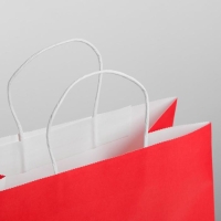 Пакет подарочный новогодний крафт &laquo;С НГ&raquo;, 25 х 22 х 12 см, Новый год