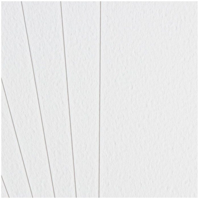 Бумага для акварели в папке А3, 10 листов, Гамма "Студия", 200 г/м2, среднее зерно