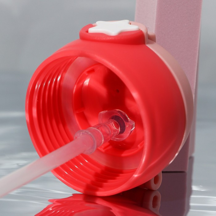 Бутылка для воды &laquo;Верхом на звезде&raquo;, 750 мл