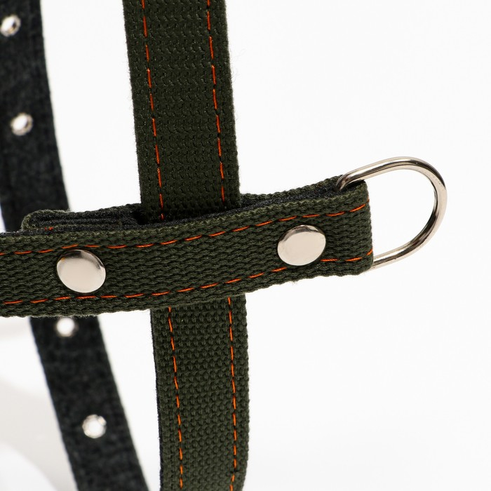 Шлейка брезентовая на фетре многоразмерная, 2,5 см, ОШ 44-68, ОГ 46-80 см, тёмно-зелёная Шлейка брезентовая на фетре многоразмерная, 2,5 см, ОШ 44-68, ОГ 46-80 см, тёмно-зелёная