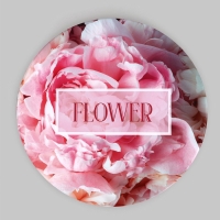 Набор шляпных коробок для цветов 4 в 1, упаковка подарочная, &laquo;Пионы&raquo;, 20 х 17,5 - 16 х 14 см