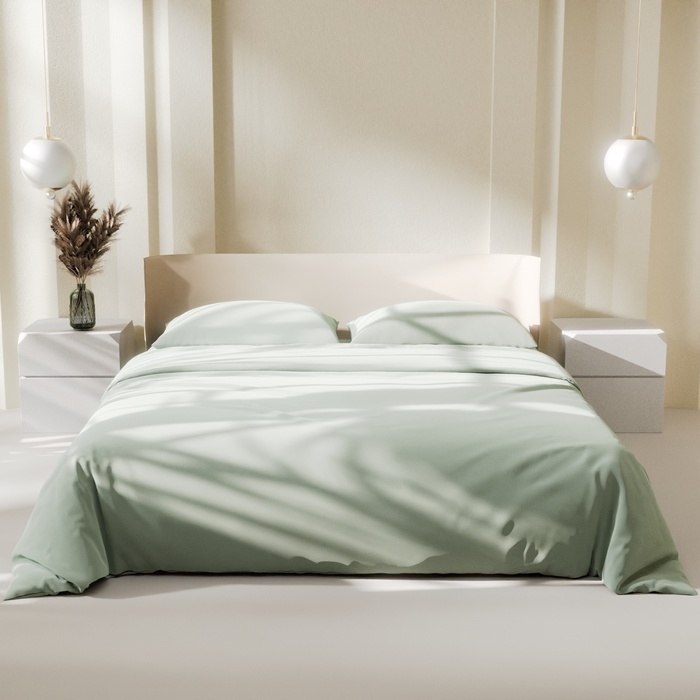 Постельное бельё LoveLife дуэт "Green tea" 150х215 см-2 шт, 225х240 см, 50х70&plusmn;3 см-2 шт, микрофибра 85 гр