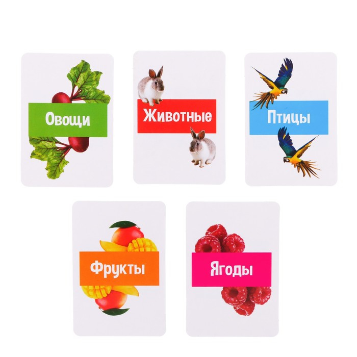 Развивающий набор с молоточками &laquo;Карточки Г.Домана&raquo;