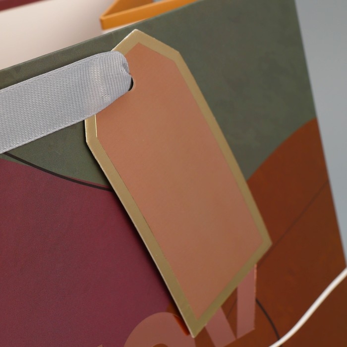 Пакет подарочный ламинированный, упаковка, «Счастье», 25.4 х 30.5 х 12.7 см Пакет подарочный ламинированный, упаковка, «Счастье», 25.4 х 30.5 х 12.7 см