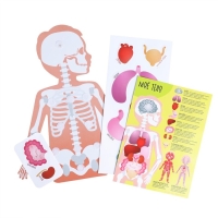 Игра на липучках &laquo;Моё тело&raquo;, анатомия