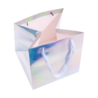 Пакет для торта с квадратным дном, голографический, 25 х 25 х 25 см Пакет для торта с квадратным дном, голографический, 25 х 25 х 25 см