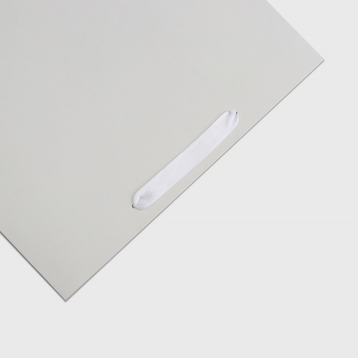 Пакет ламинированный горизонтальный "Белый", XXL  61 х 46 х 20 см