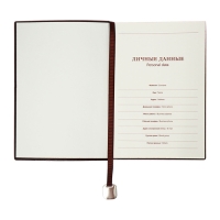 Органайзер на кольцах, А5, 116л, клетка, обл.кожзам, коричневый срез, Синий